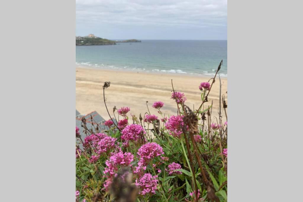 Beautiful 3 Bedroom Apartment By The Sea New Quay Exterior foto